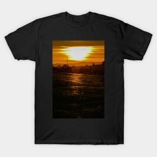 Spiderling gossamer sunset T-Shirt